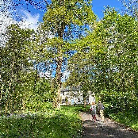 Blackhill Woods Retreat Abbeyleix Eksteriør bilde