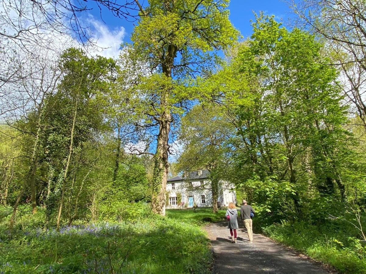 Blackhill Woods Retreat Abbeyleix Eksteriør bilde