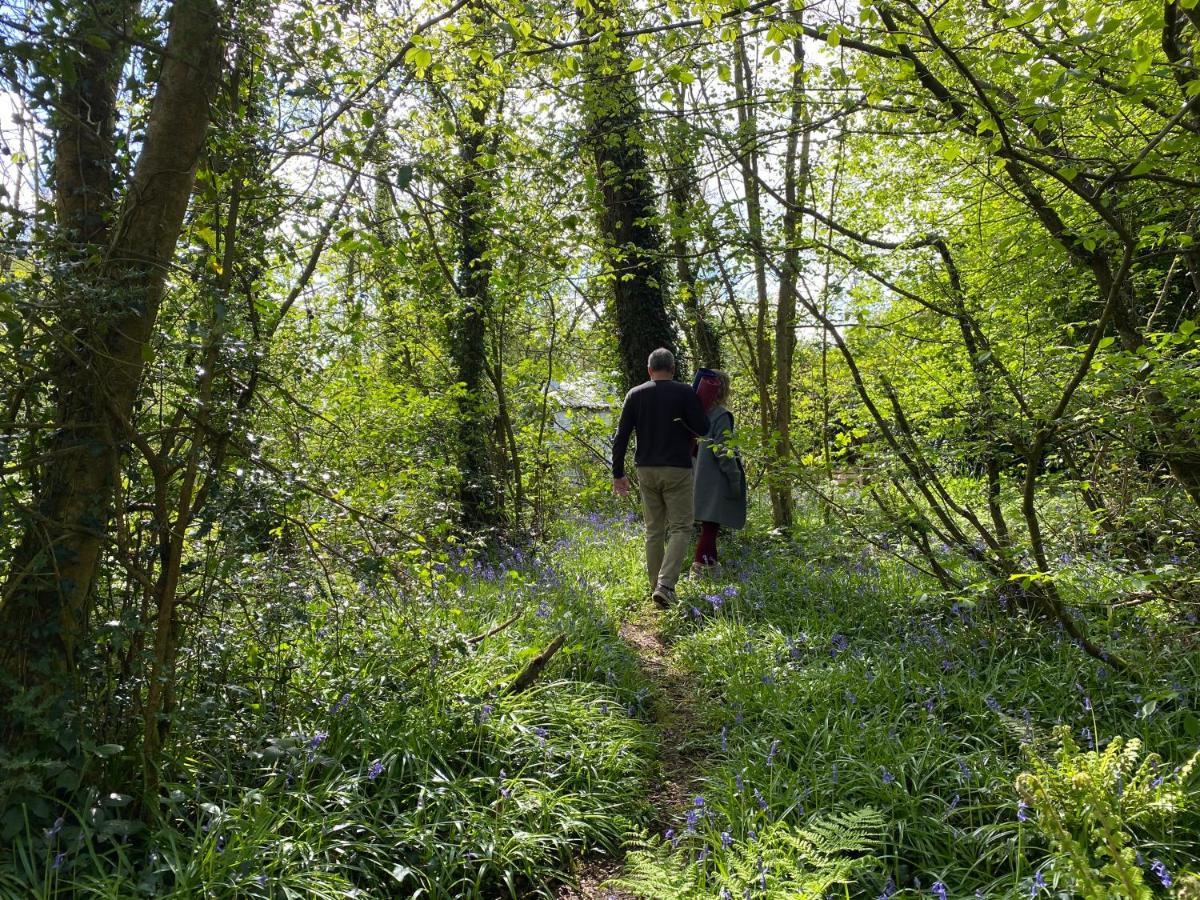 Blackhill Woods Retreat Abbeyleix Eksteriør bilde