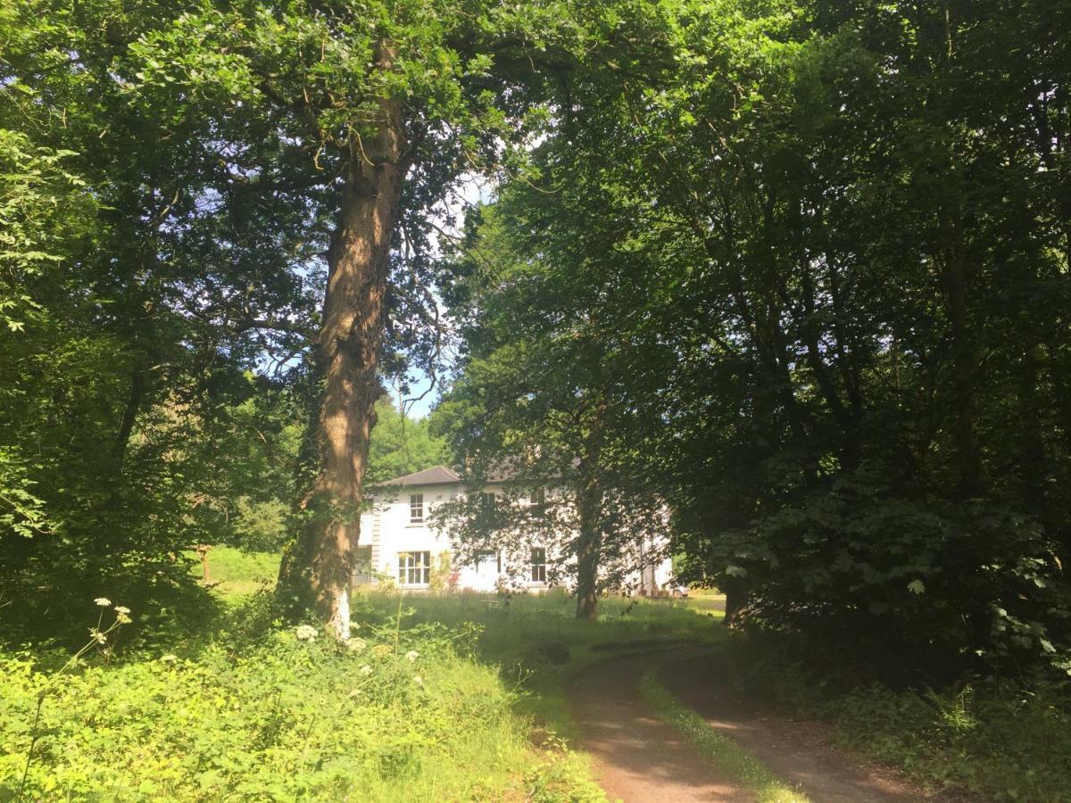Blackhill Woods Retreat Abbeyleix Eksteriør bilde